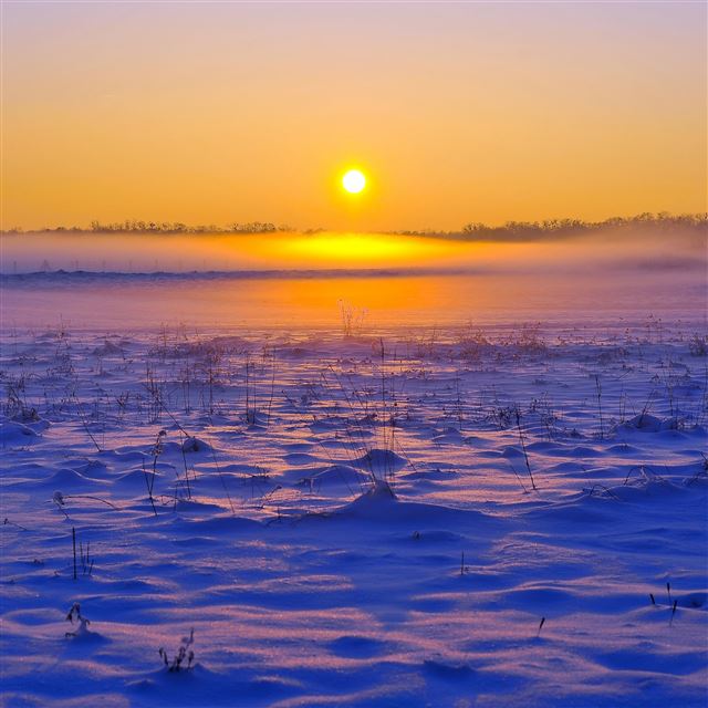 2048x2048 Field horizon snow grass sunset - field iPad Air Wallpaper