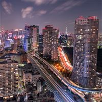 City veins wallpaper