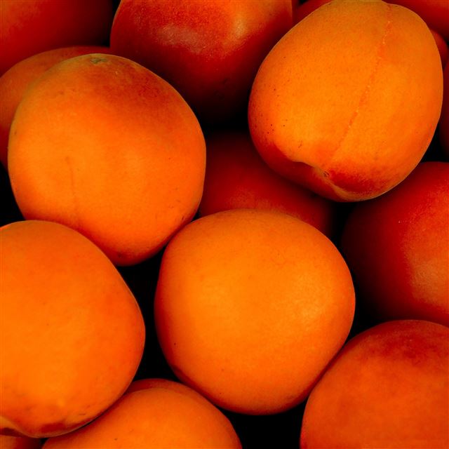 2048x2048 Yellow peach ripe -  iPad Air Wallpaper