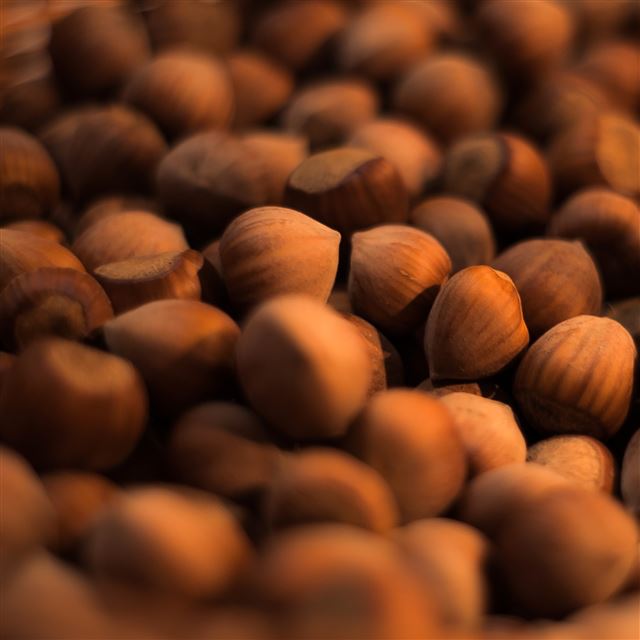 2048x2048 Hazelnuts - bokeh iPad Air Wallpaper