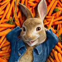 Peter rabbit movie iPad Air wallpaper