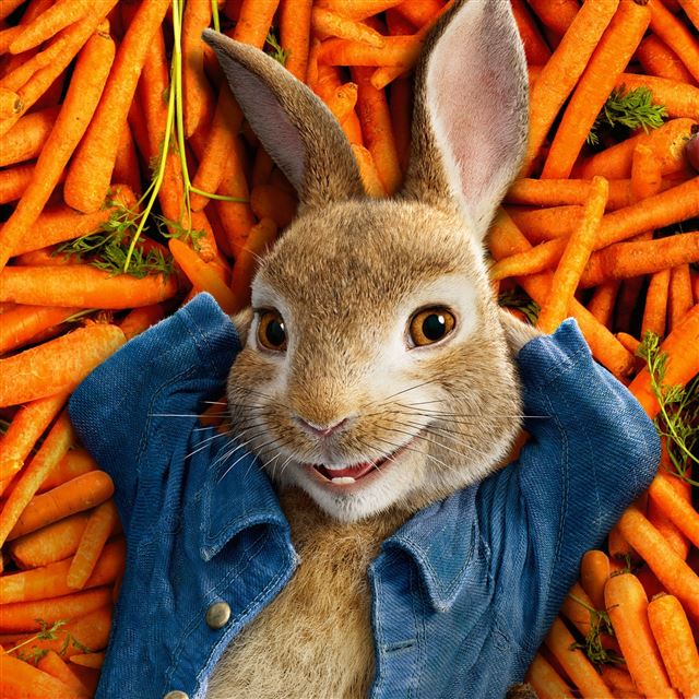 2048x2048 Peter rabbit movie -  iPad Air Wallpaper