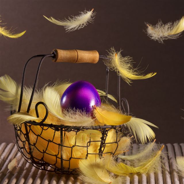 2048x2048 Easter basket feathers egg - purple iPad Air Wallpaper