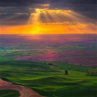 Plain road fields greens sky sun light clouds iPad Air wallpaper