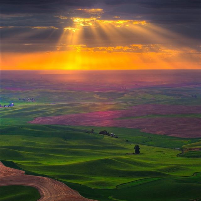 2048x2048 Plain road fields greens sky sun light clouds - sun iPad Air Wallpaper