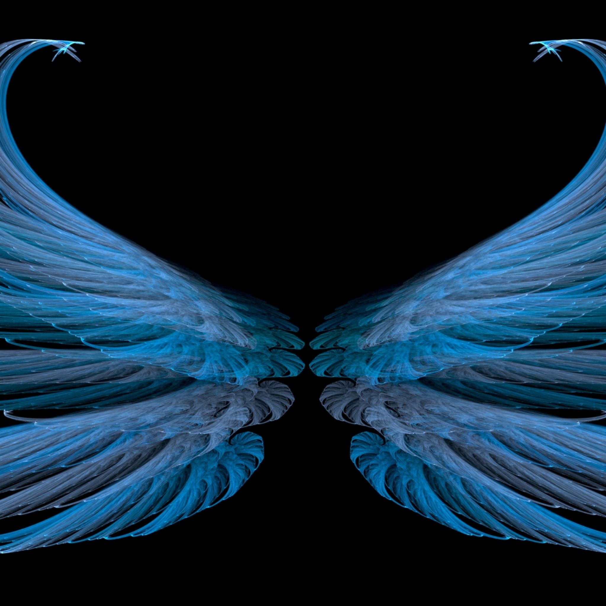 Blue black wings iPad Air wallpaper 
