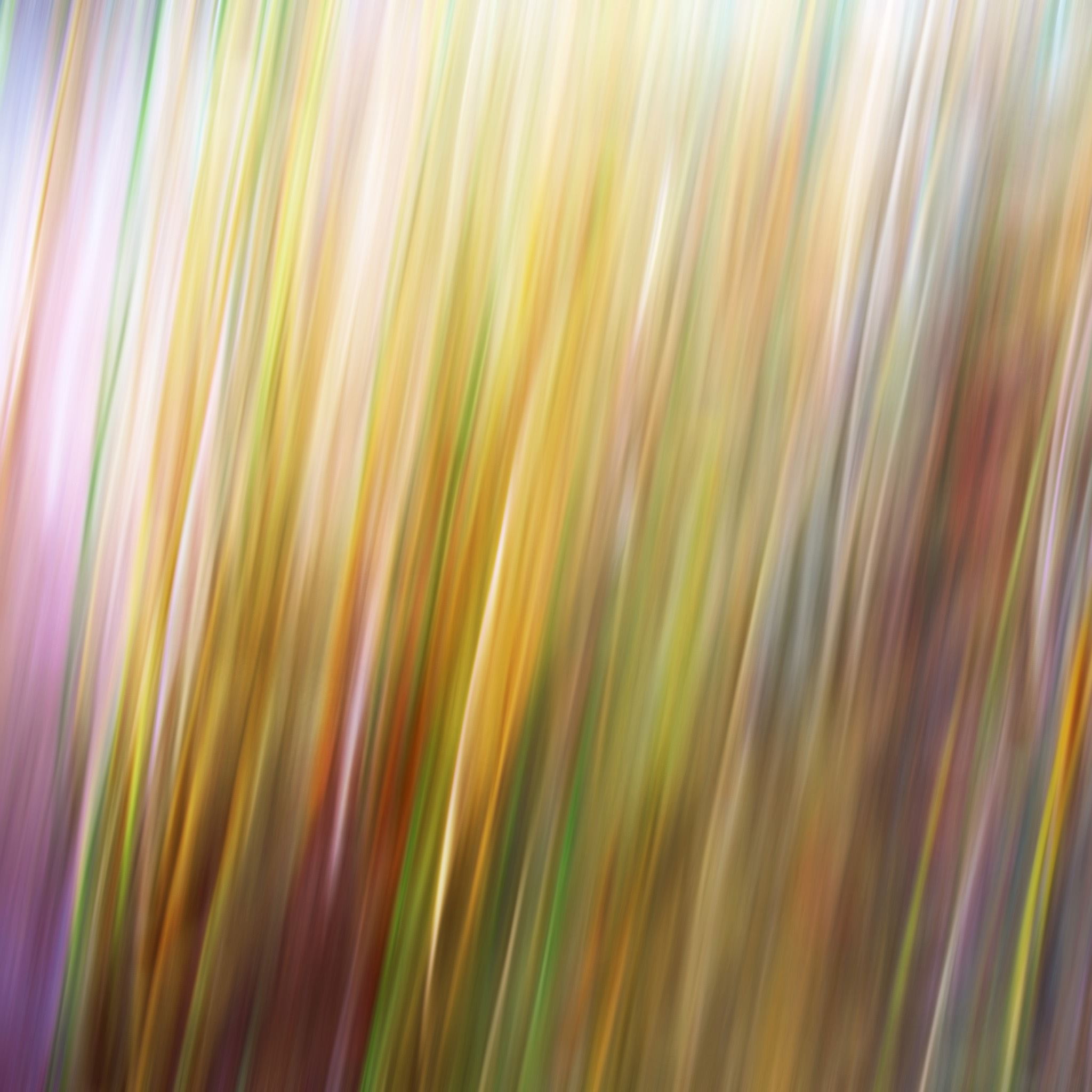 Grass blur iPad Air wallpaper 