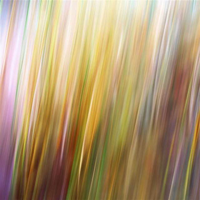 2048x2048 Grass blur - yellow iPad Air Wallpaper