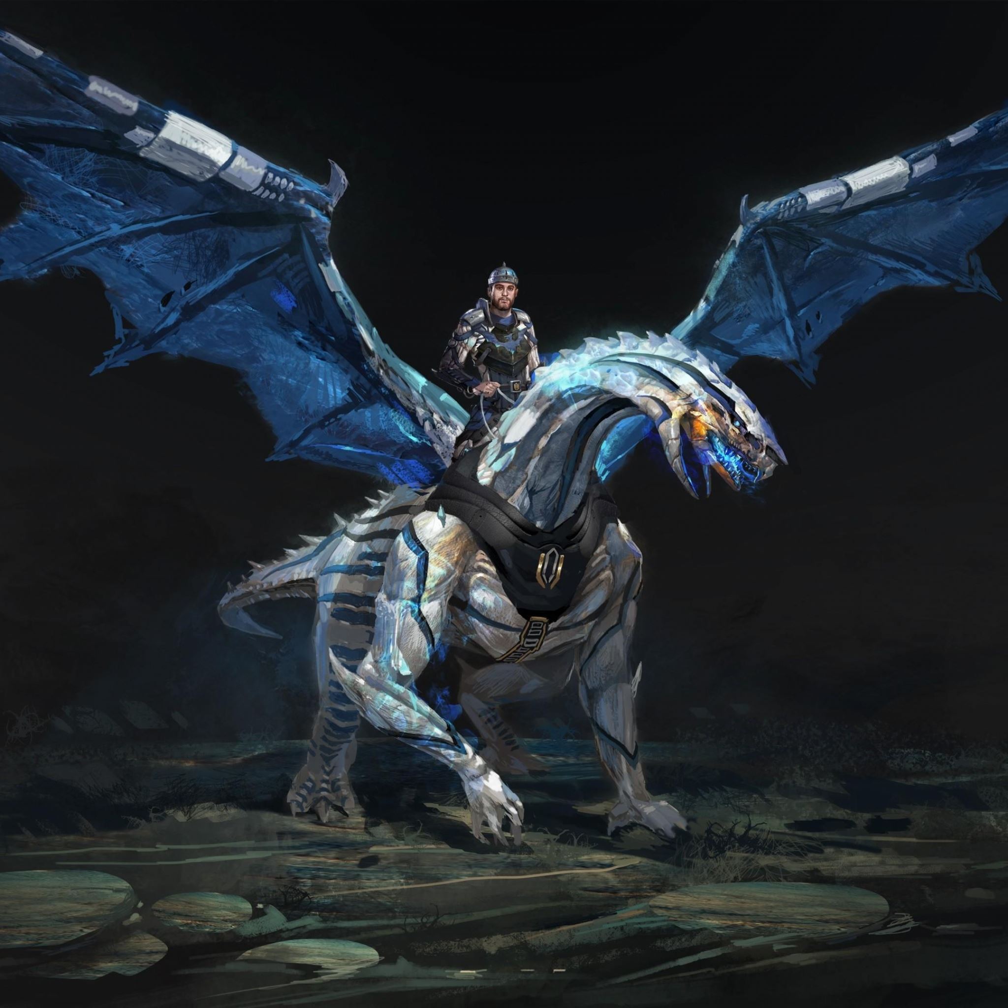 Dragon rider wings iPad Air wallpaper 