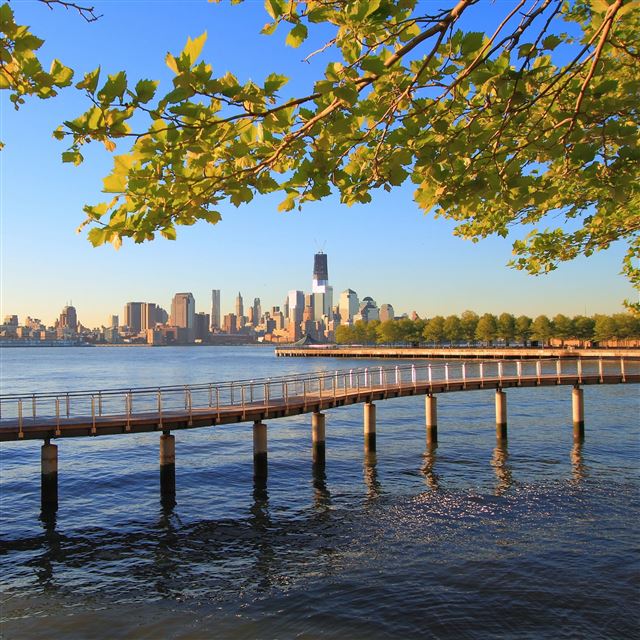 2048x2048 City water trees branches - city iPad Air Wallpaper