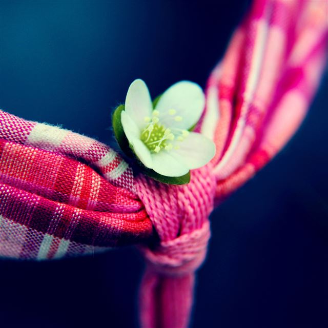 2048x2048 Little Flower - pink iPad Air Wallpaper