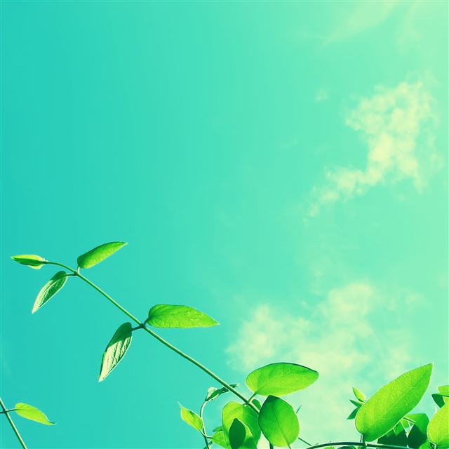 2048x2048 Spring Sky - sky iPad Air Wallpaper
