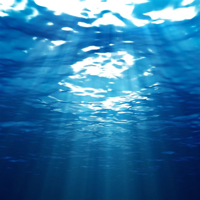 2048x2048 Light Filtering from Above - lake iPad Air Wallpaper