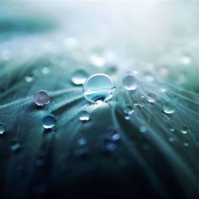 2048x2048 Pure Dew - pure iPad Air Wallpaper