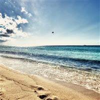 Floating in the Blue wallpaper