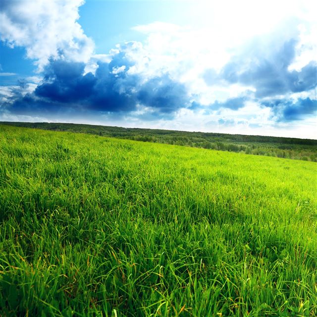 2048x2048 Green Hill - field iPad Air Wallpaper
