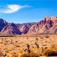 Red Rock in the Winter Sun wallpaper