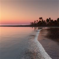 Paradise Found wallpaper