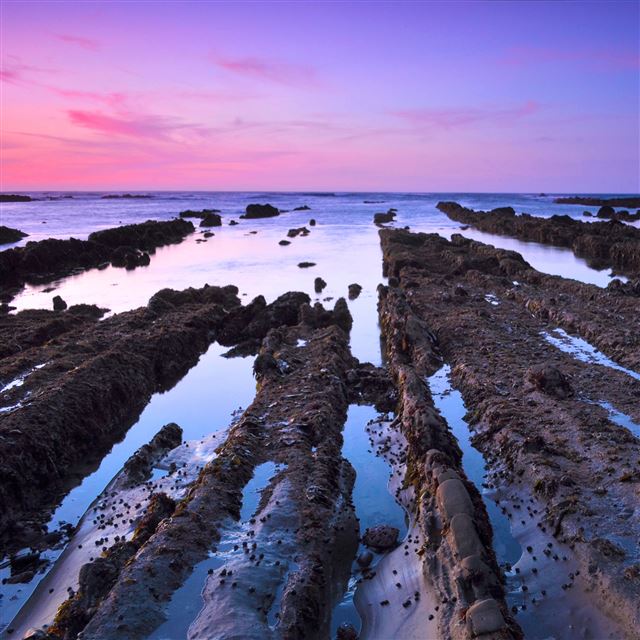 2048x2048 Fingers to the Sea - purple iPad Air Wallpaper