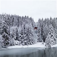 Small Lake in Switzerland wallpaper