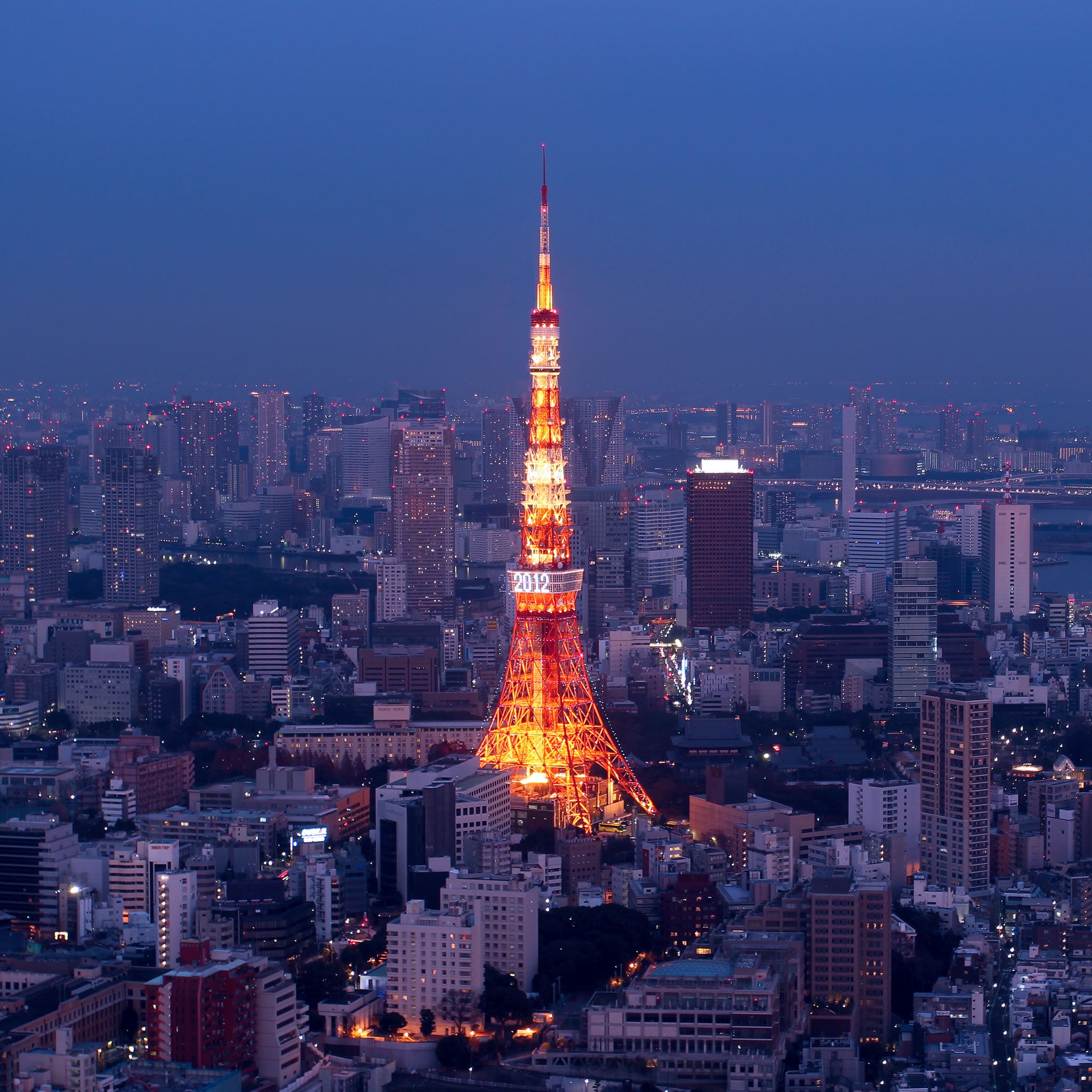 Tokyo Skyline iPad Air wallpaper 