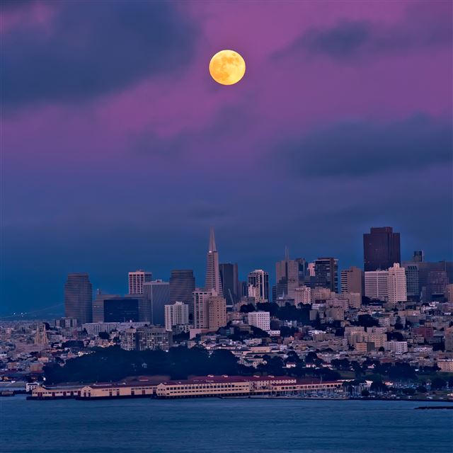 2048x2048 San Francisco Fever - purple iPad Air Wallpaper