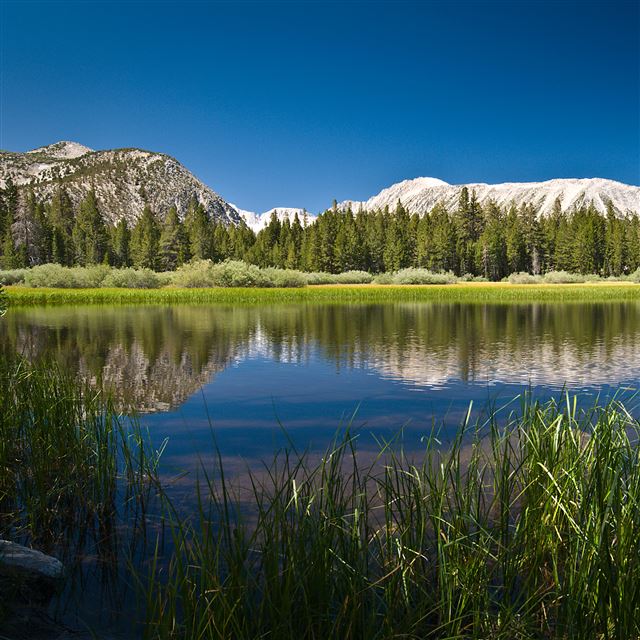 2048x2048 Reflections Mountain Escape - trees iPad Air Wallpaper
