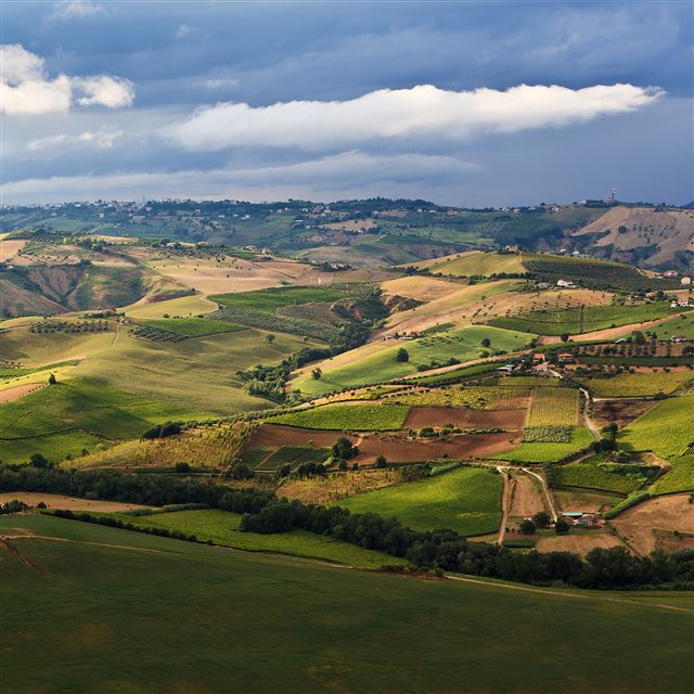 2048x2048 Fields - cloud iPad Air Wallpaper