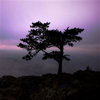 Twilight at Raven Roost wallpaper