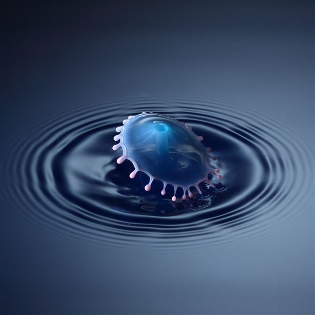 2048x2048 Shroom - wave iPad Air Wallpaper