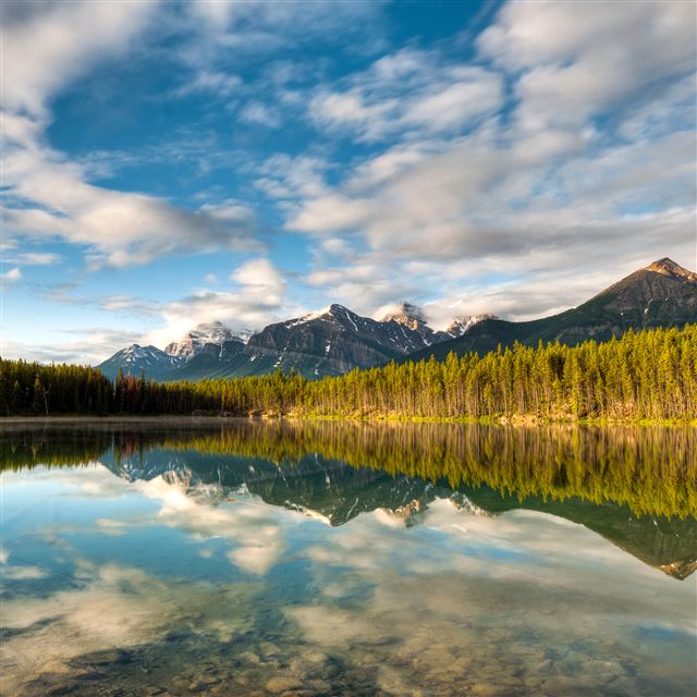2048x2048 Herbert Lake - river iPad Air Wallpaper