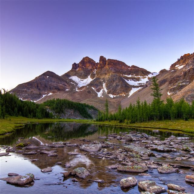 2048x2048 Wonder Pass - trees iPad Air Wallpaper