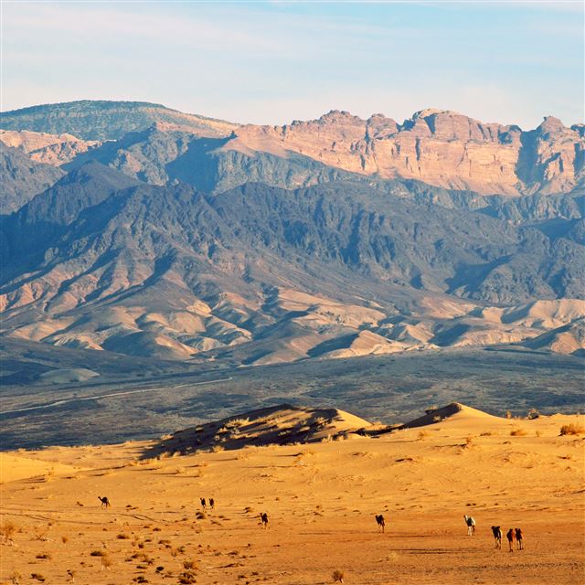 2048x2048 Ships of the Desert - desert iPad Air Wallpaper