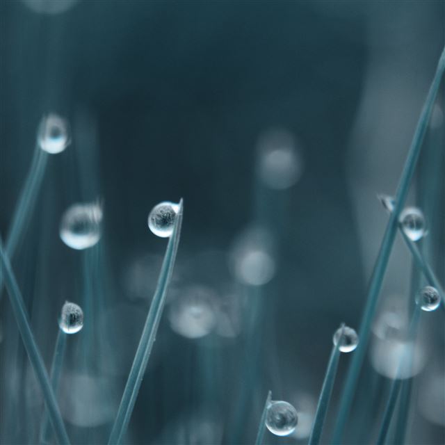 2048x2048 Drops - water iPad Air Wallpaper