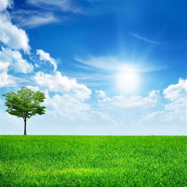 2048x2048 Green Nature - pure iPad Air Wallpaper