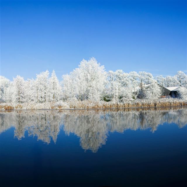 2048x2048 Panoramic Photography Winter - photography iPad Air Wallpaper