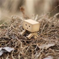 Cute Danbo wallpaper