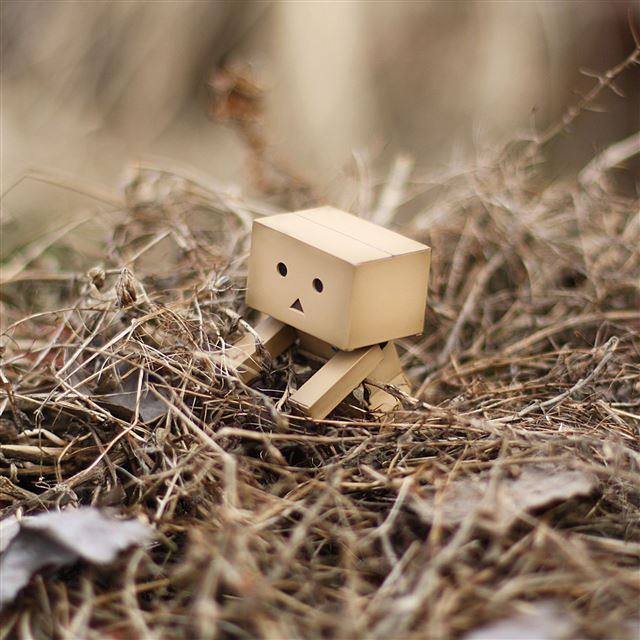 2048x2048 Cute Danbo -  iPad Air Wallpaper