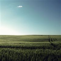 Field View wallpaper