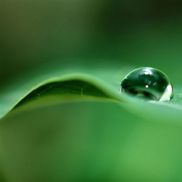 2048x2048 Dew Closeups - pure iPad Air Wallpaper