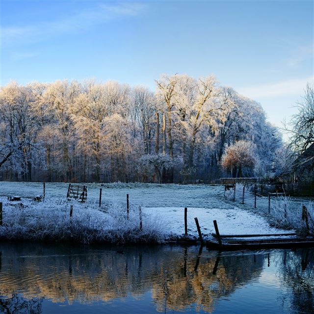 2048x2048 Winter Scenery - scenery iPad Air Wallpaper