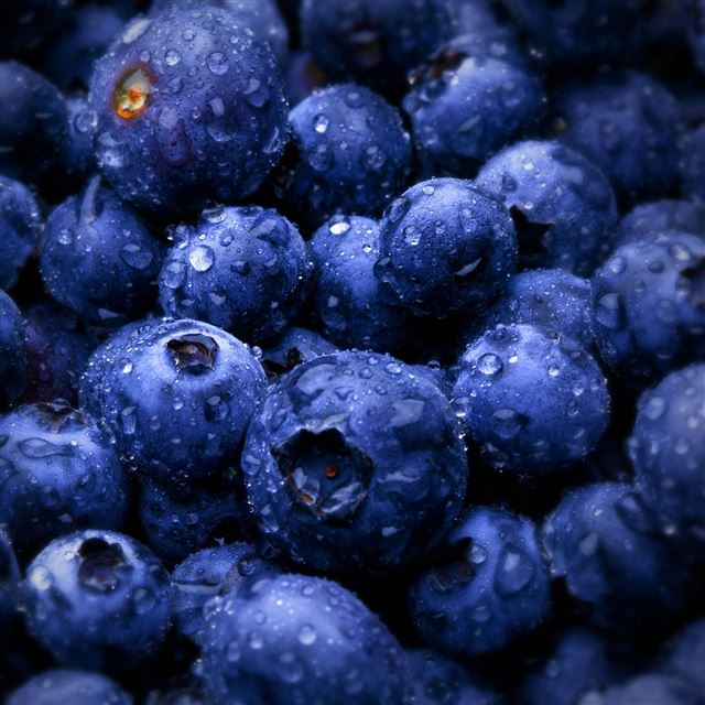 2048x2048 Grapes - fresh iPad Air Wallpaper