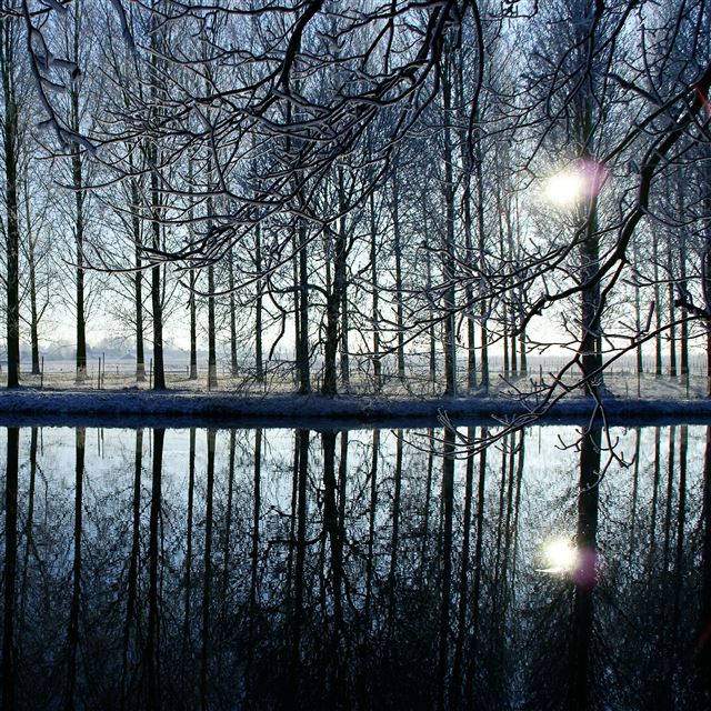 2048x2048 Reflection in Kromme Rijn River - reflection iPad Air Wallpaper