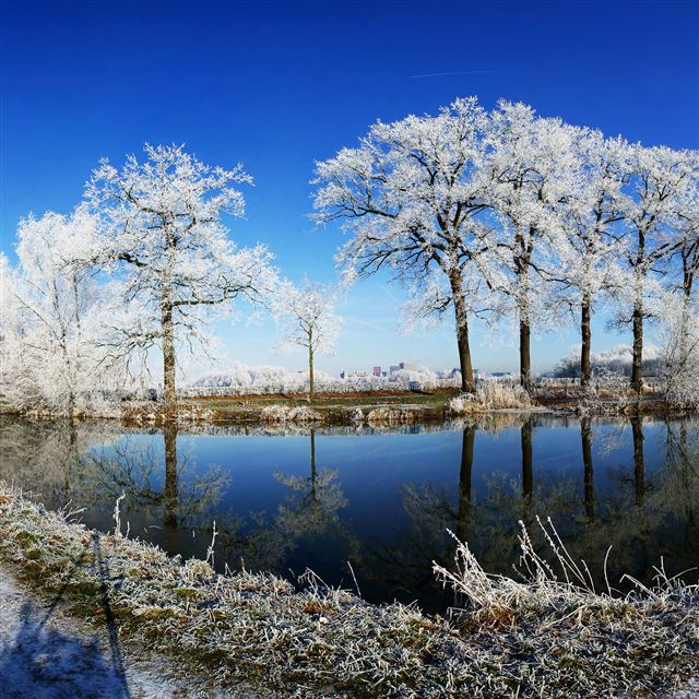2048x2048 Crooked Rhine River - river iPad Air Wallpaper