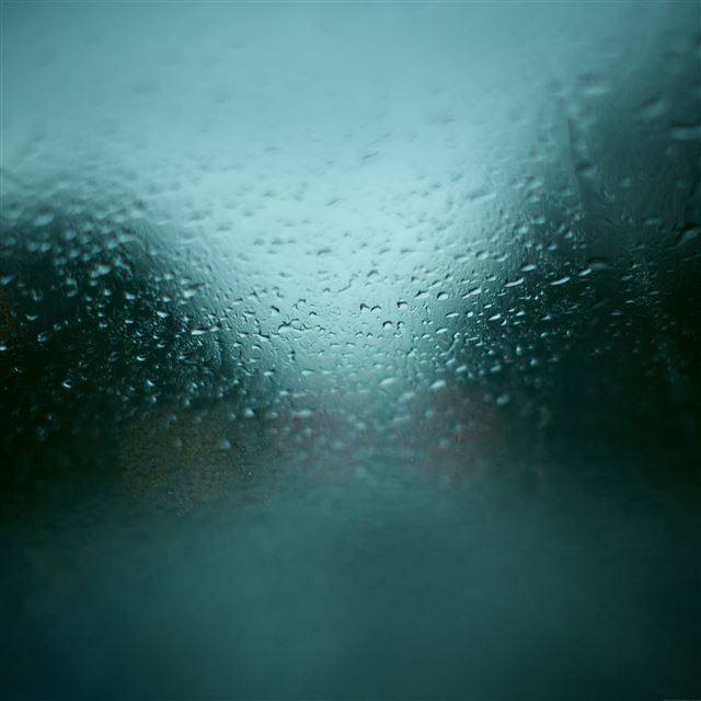 2048x2048 Grass Drops - green iPad Air Wallpaper