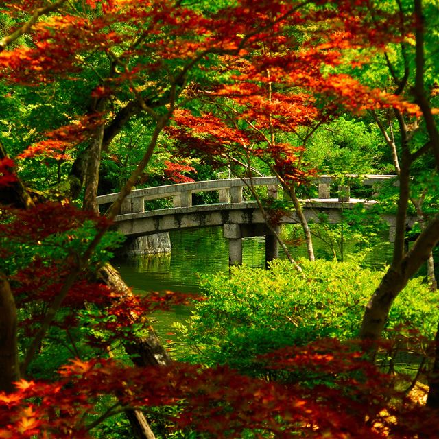 2048x2048 Japanese Garden Kyoto - lake iPad Air Wallpaper