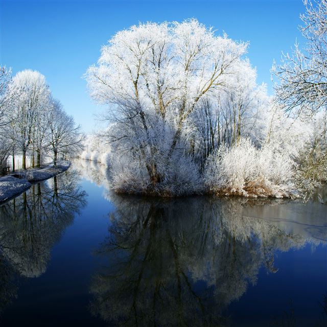 2048x2048 Winter Wonderland - water iPad Air Wallpaper