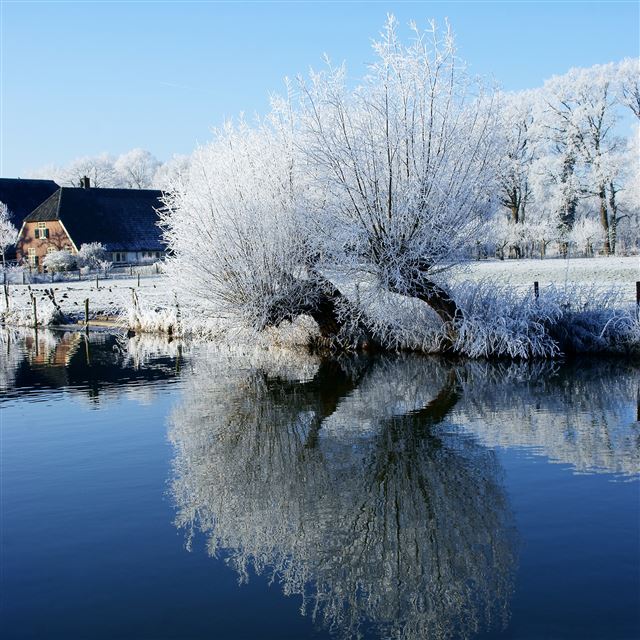 2048x2048 Along the Kromme Rijn River - cyan iPad Air Wallpaper