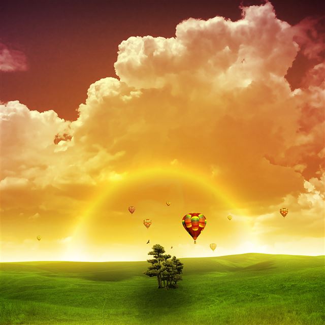 2048x2048 Hot Air Balloons - field iPad Air Wallpaper