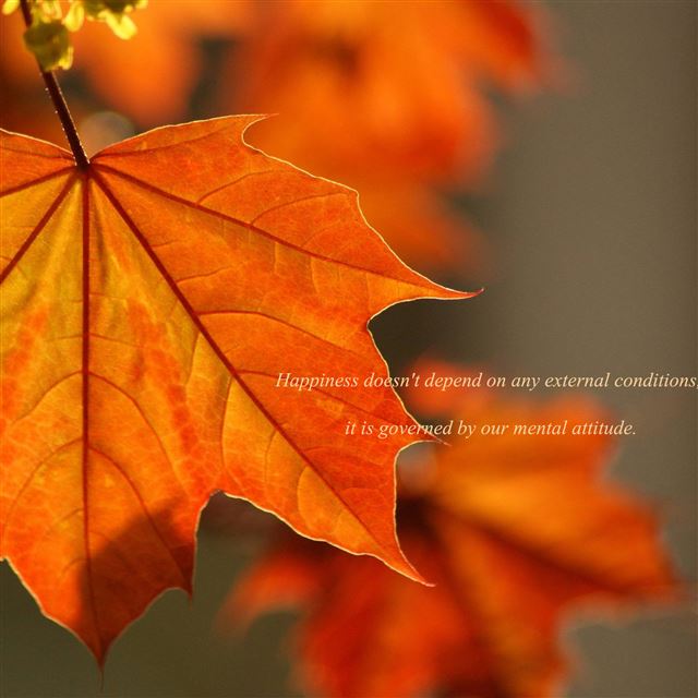 2048x2048 oak rust colored leaves - leaves iPad Air Wallpaper